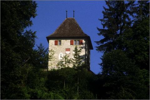 Stiftung Schloss Buchegg